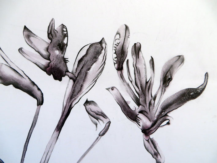 Agapanthus_detail3web