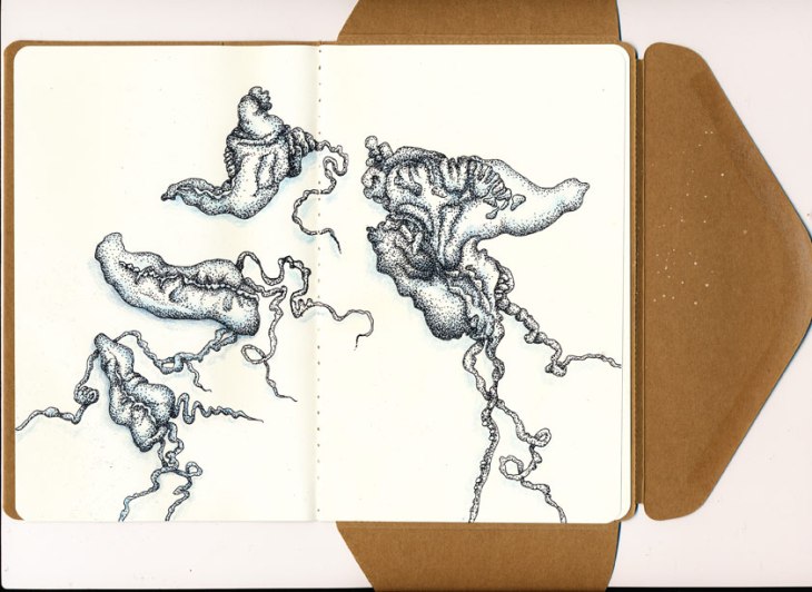 Collab3_bluebottle_web