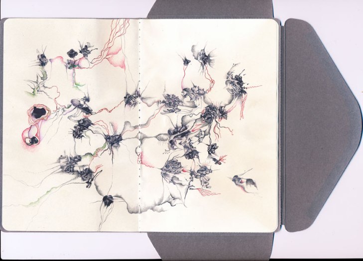 spiderweb_bookletweb