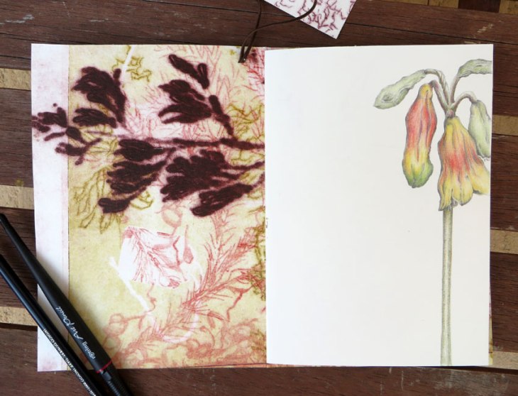 Inside front cover and first page.