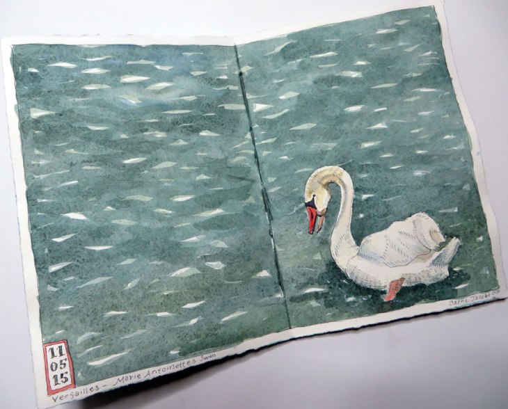 Collab8_waterCathe06web