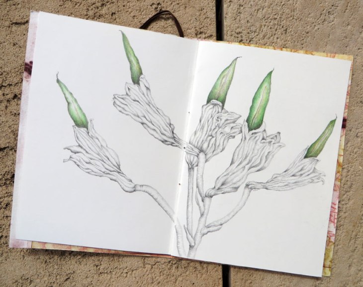 Collab_circle02AnnaWeb