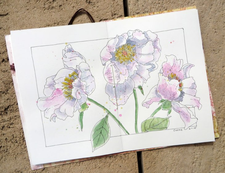 Collab_circle04CatheWeb