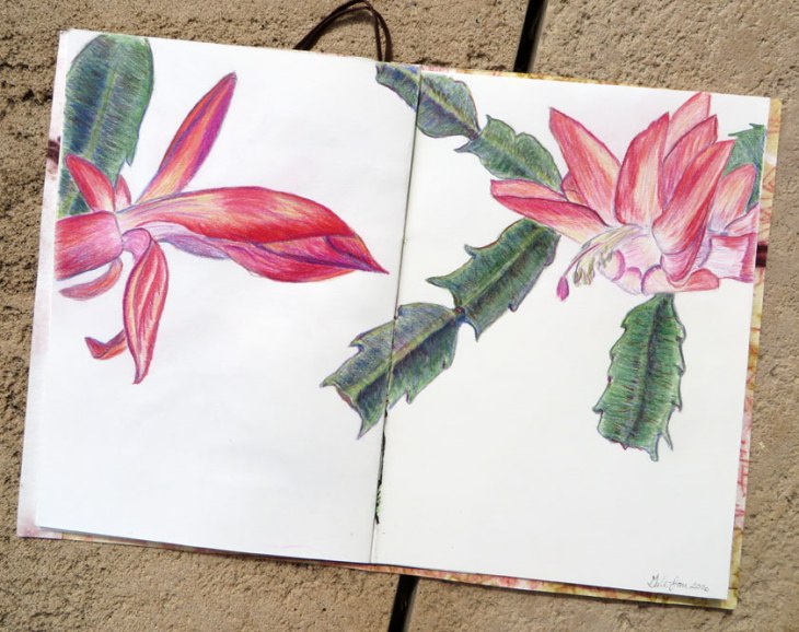 Collab_circle05GaleWeb