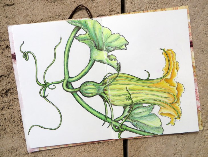 Collab_circle_03KarenWeb